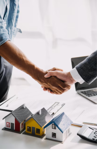 Professional Services